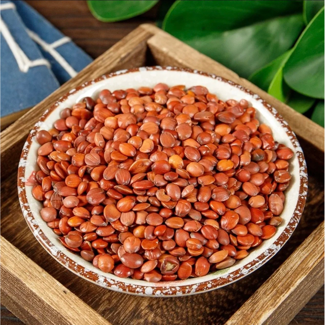 新农人青青-酸枣仁