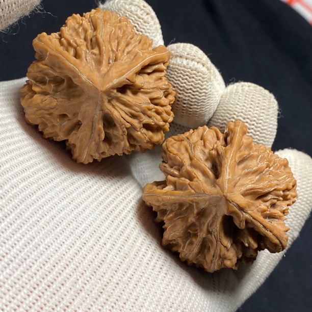38全品文山三棱核桃一物一图。边38-38-37高43（074）