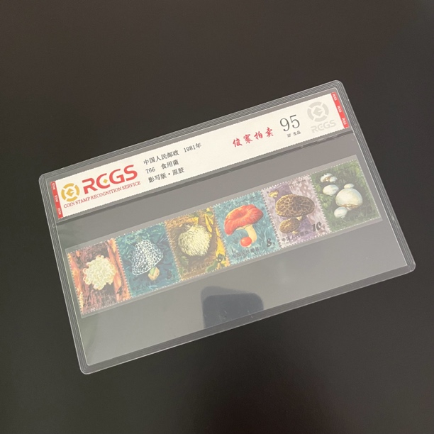 T66食用菌95XF原胶全品中钱国信评级