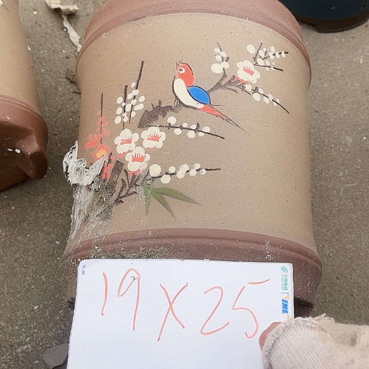 花盆紫砂11111111