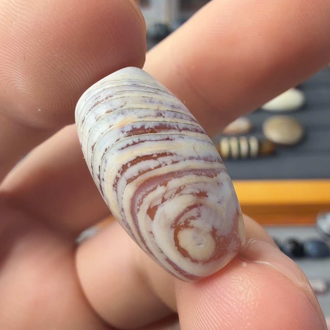 古珠直发专用链接