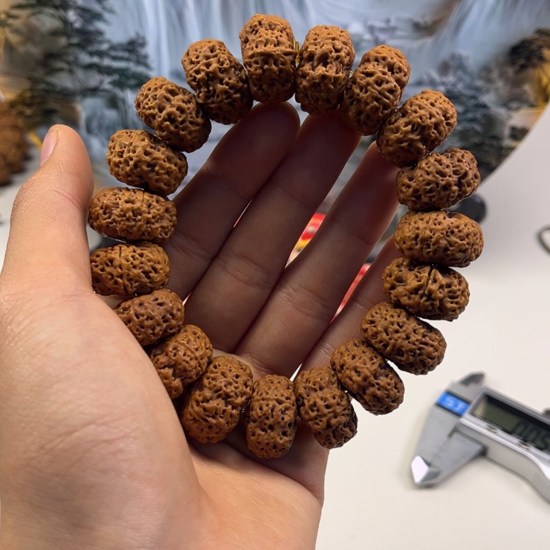 手串金刚菩提甲板22