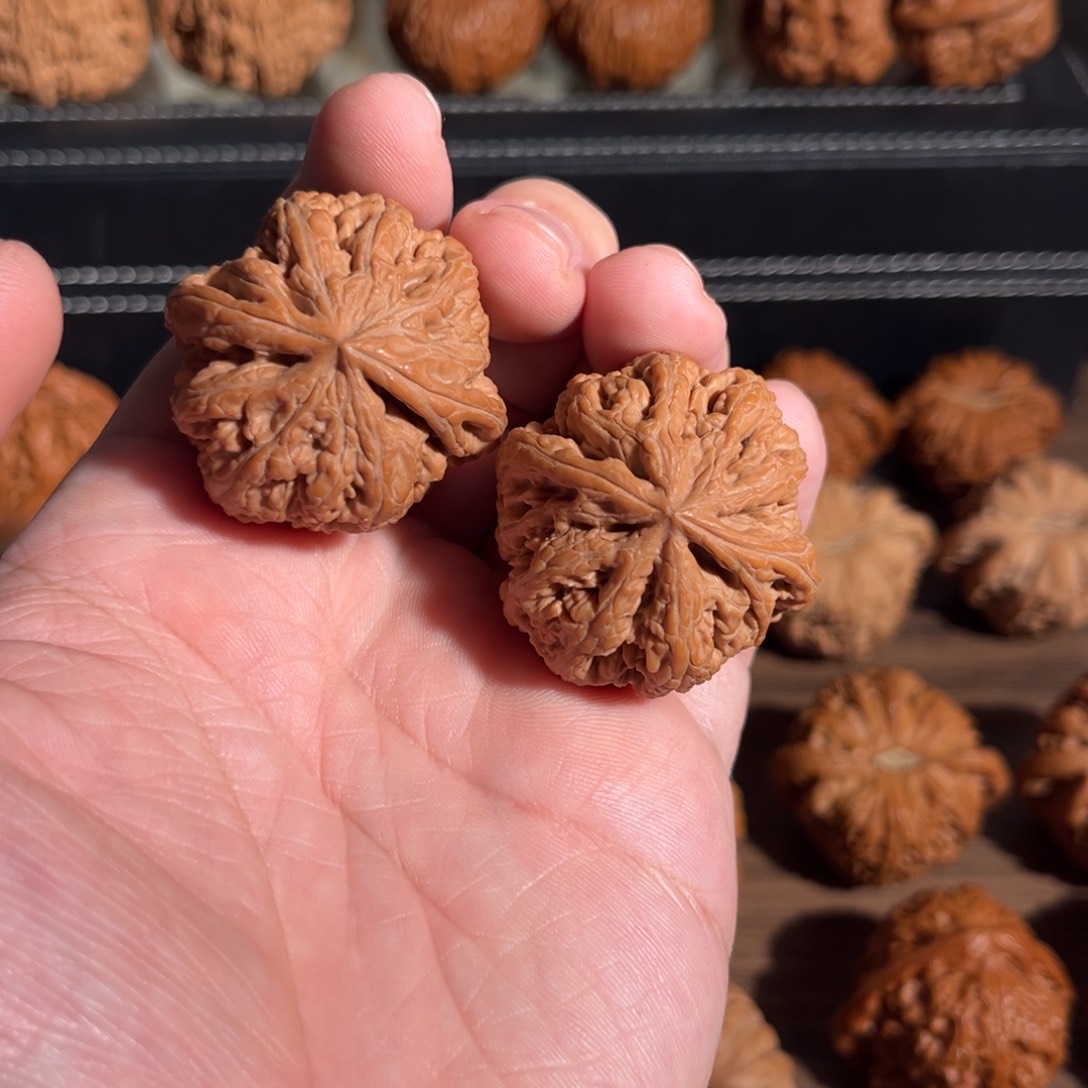 手串/手链核桃37全品毕业粗筋