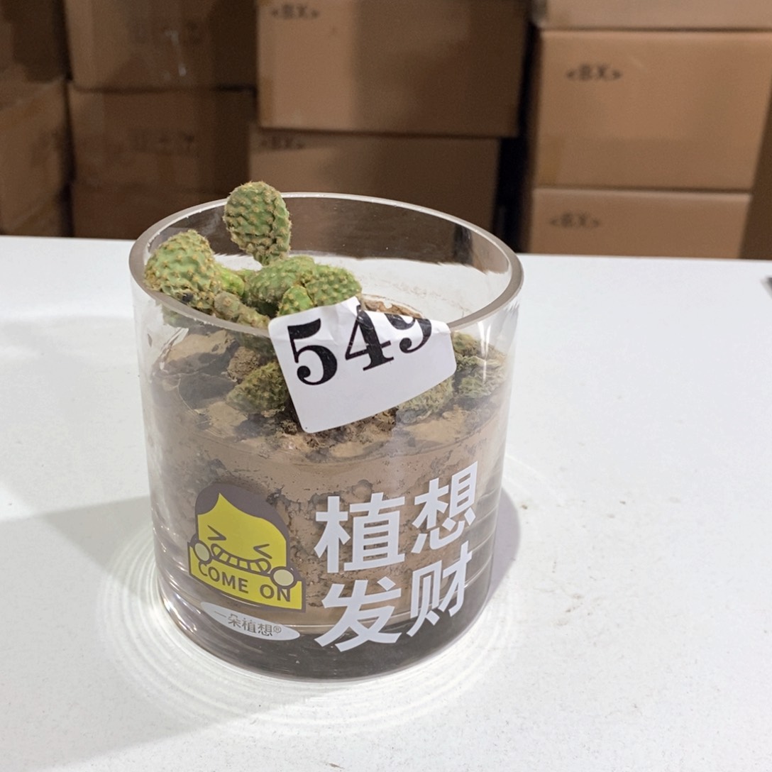 玻璃549拍一发二玻璃花瓶嘎嘎好看玻璃花瓶