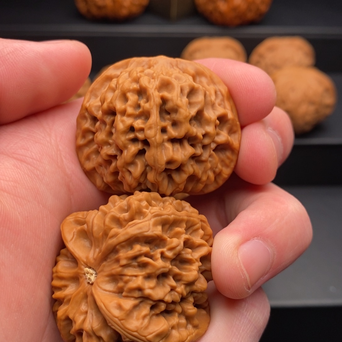 文玩核桃把件天*秦闷