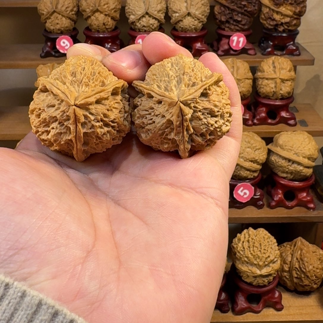 铁核桃把件珊瑚三棱43尺