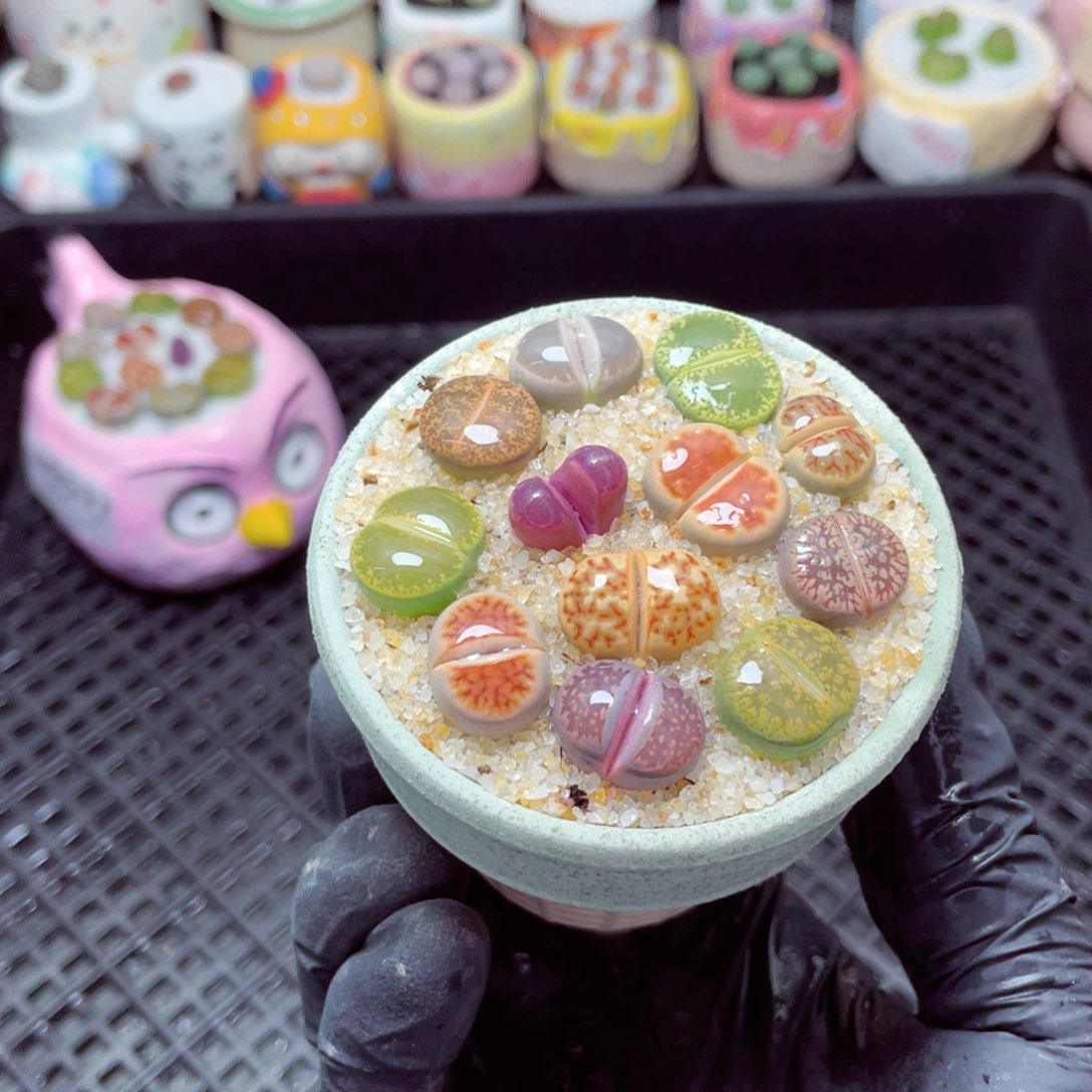 w9698--零下地区拍保温箱，-15度支持寄养