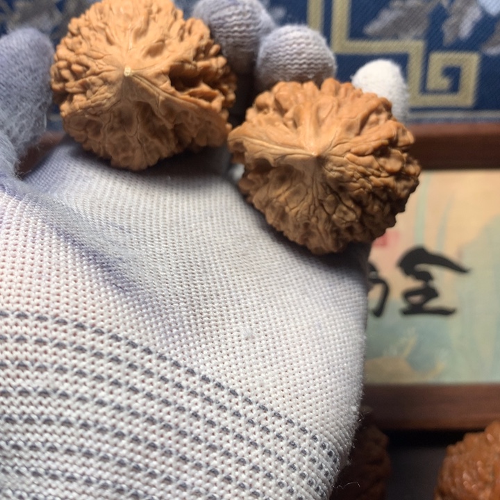 天***秋哈哈哈哈哈哈哈哈哈哈哈