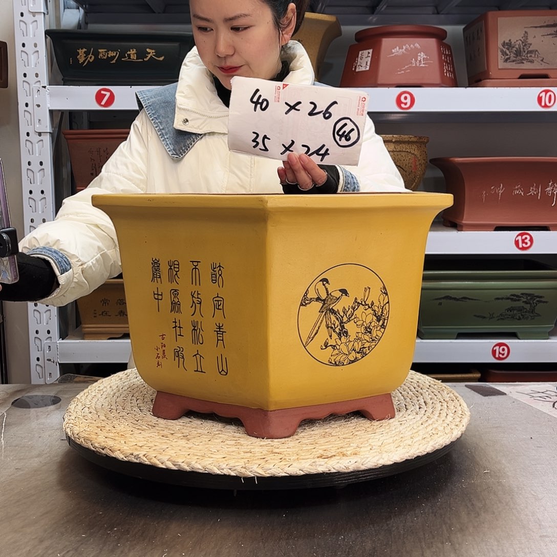 紫砂花盆紫砂花盆