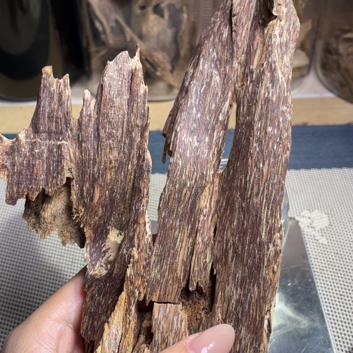 沉香海南红油虫漏58克