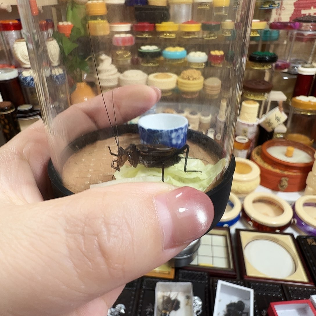 坤***业麒麟两个两只两个