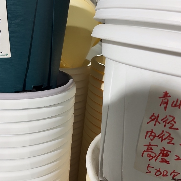 老青山6号纯白无托5个