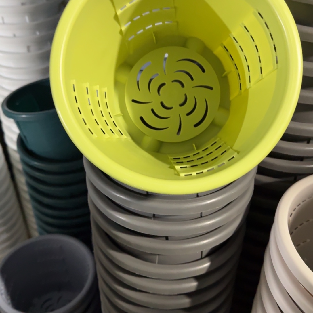 测2#口径22无拖果绿5个