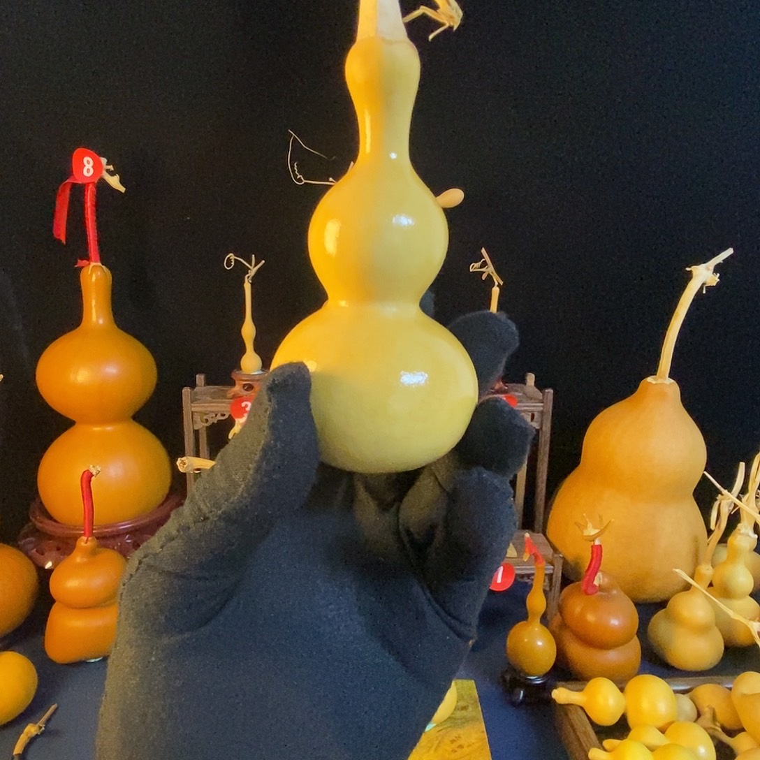 排***三大叶紫檀（黑酸枝木类）