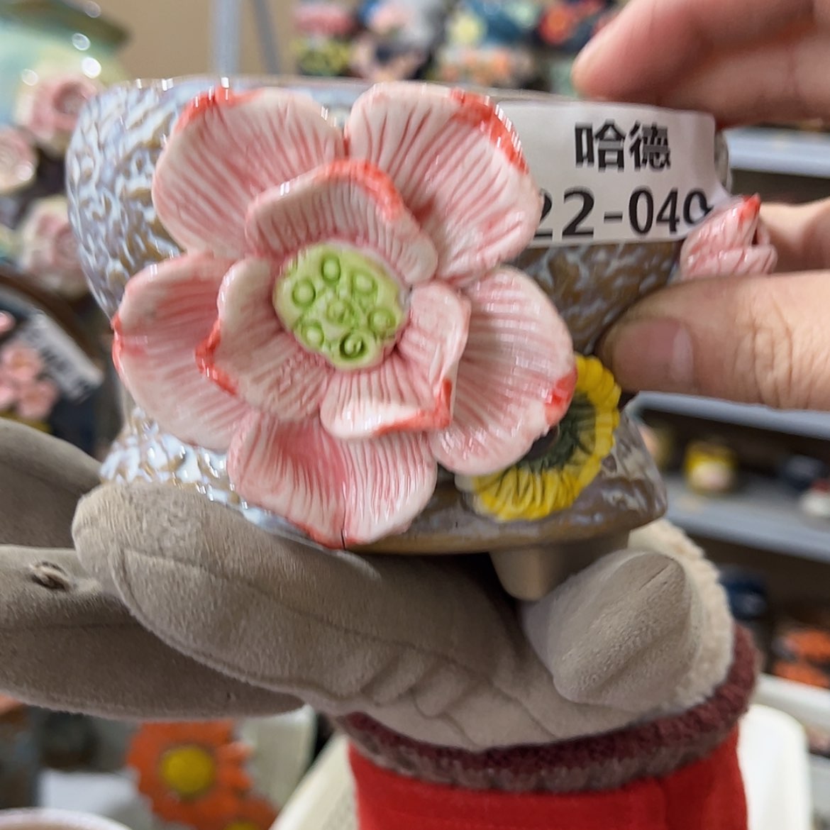 【闪购商品】红陶福利