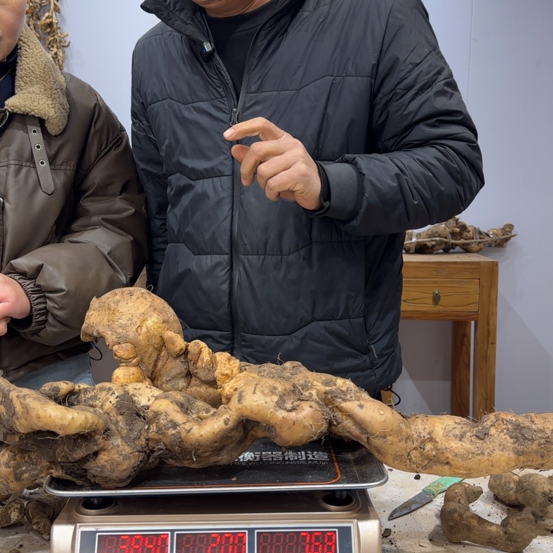 山***哥中国大陆11111111