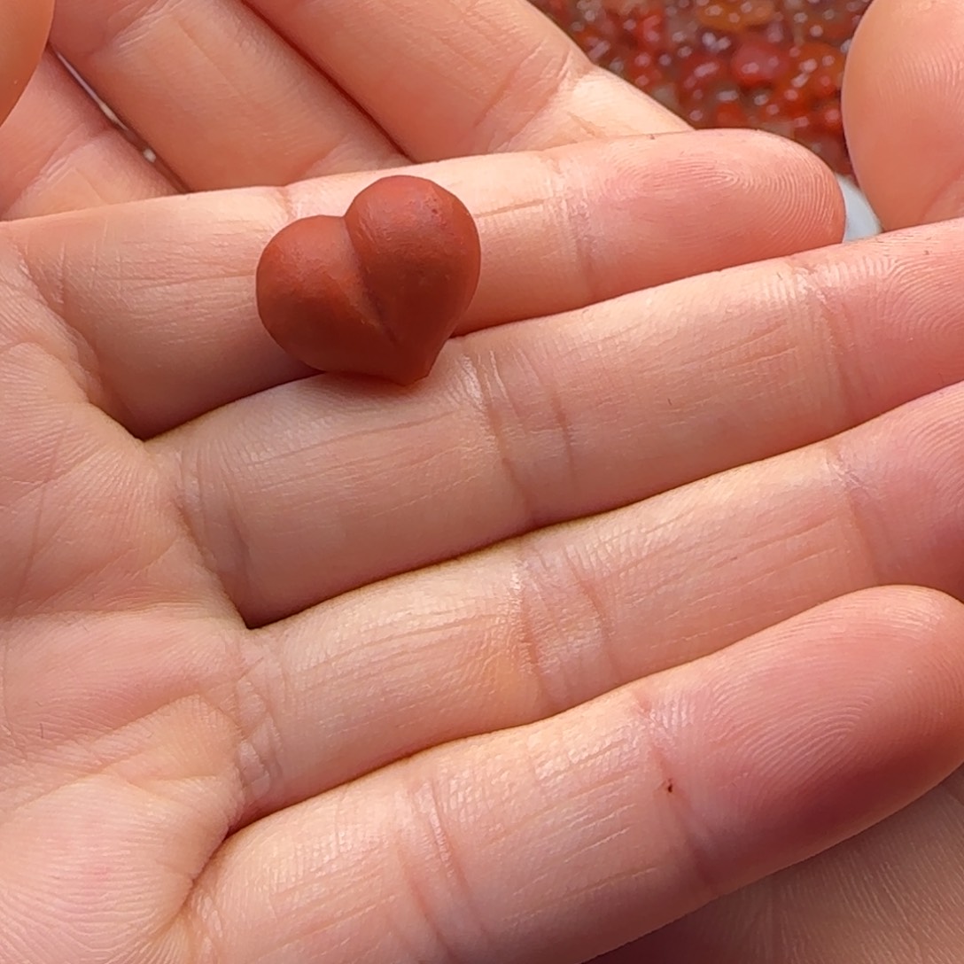 圆***宝南红玛瑙未镶嵌挂件