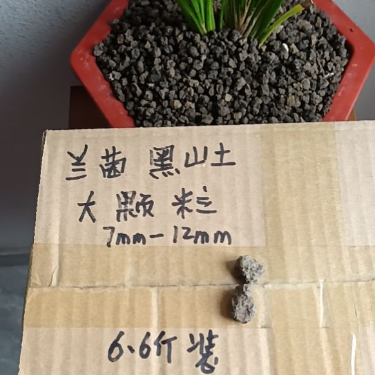 开***7兰菌黑山土大颗粒6.6斤