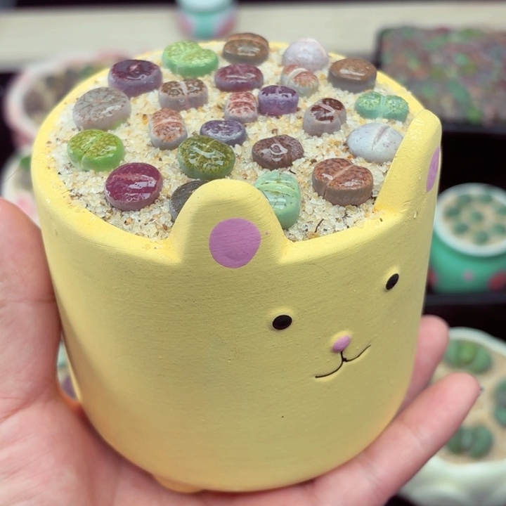 565零下地区记得拍保温箱