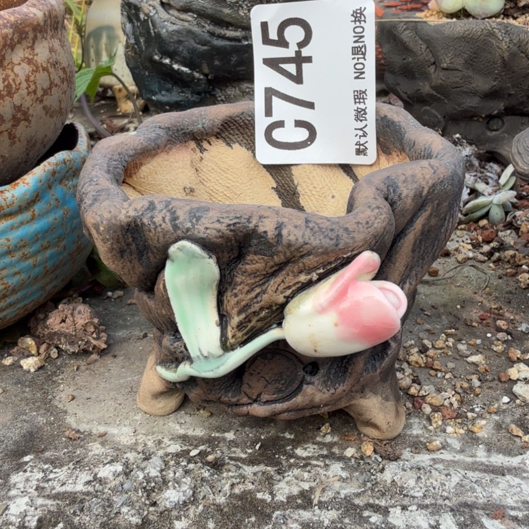 桃***源重庆小燕子欢迎大家745