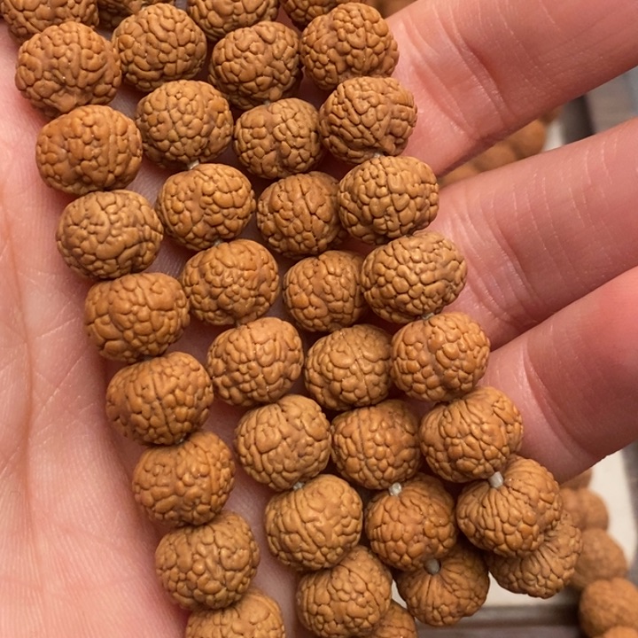 菩提一**民小金刚菩提子