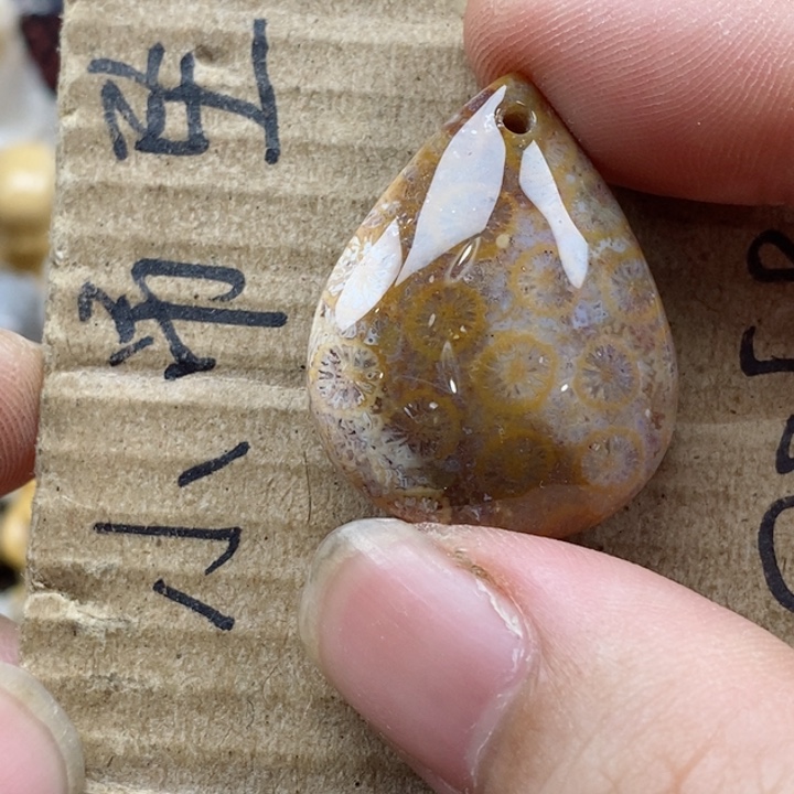 颈饰未镶嵌硅化珊瑚（珊瑚玉）博*
