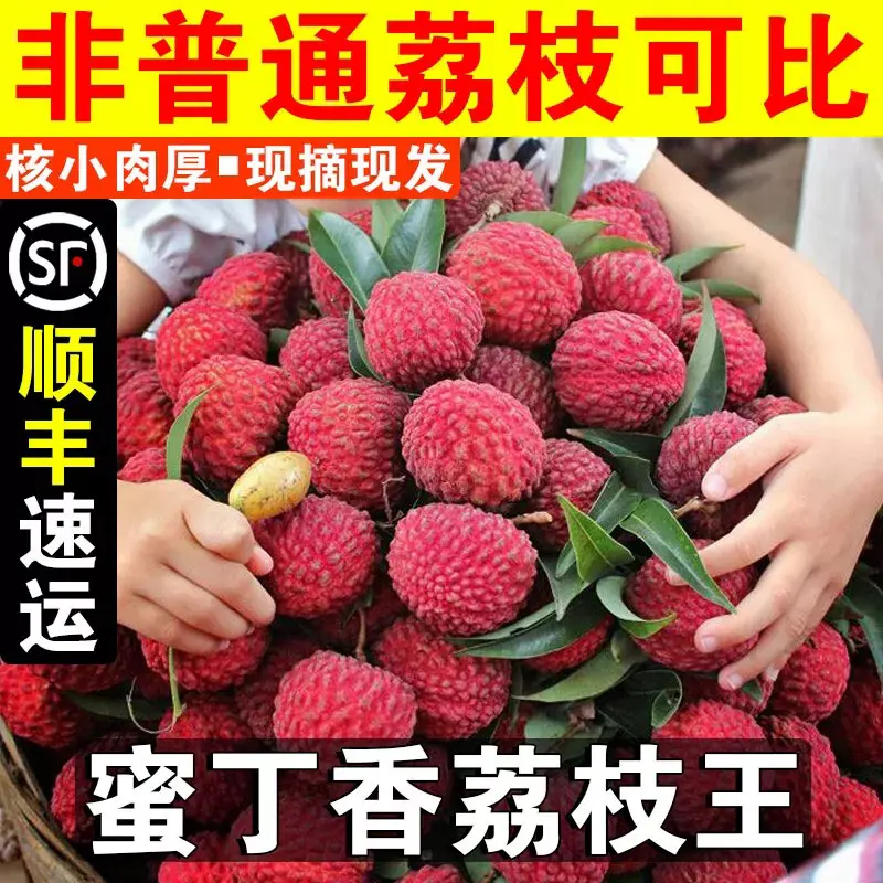 【大乐鲜果】新鲜现摘福建蜜丁香荔枝荔枝王当季水果整箱1-4.5斤