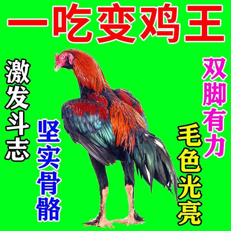 斗鸡打料斗鸡增强素斗鸡饲料斗鸡比比赛训练粮食高蛋白强筋骨