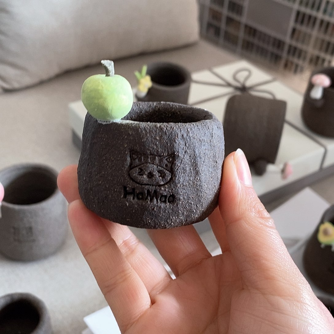 红陶拍5送一个小