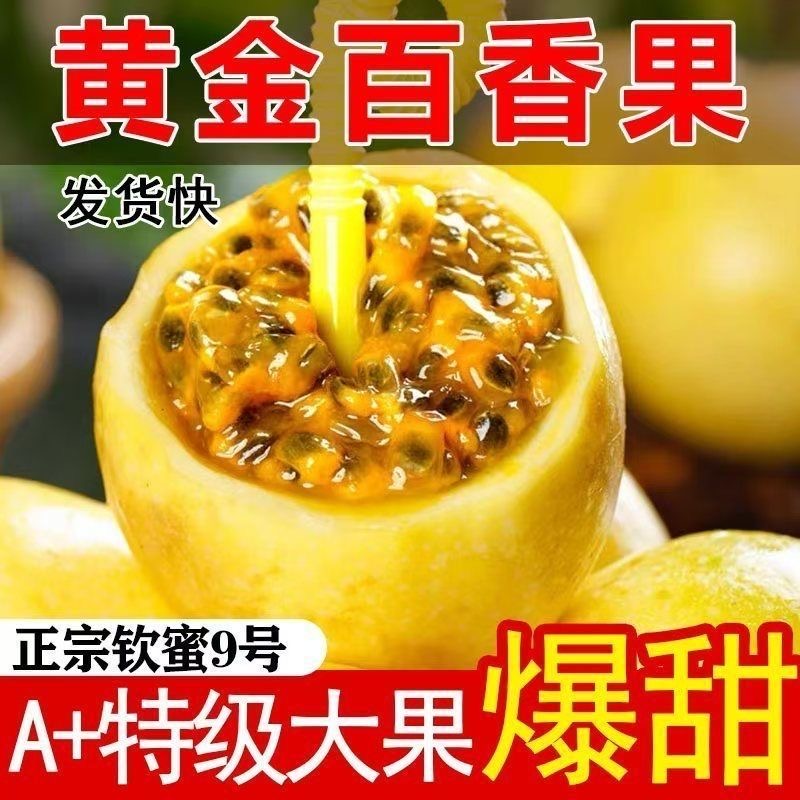 【12个特大果】正宗A+级黄金百香果配开果器 配开果器 坏果包赔