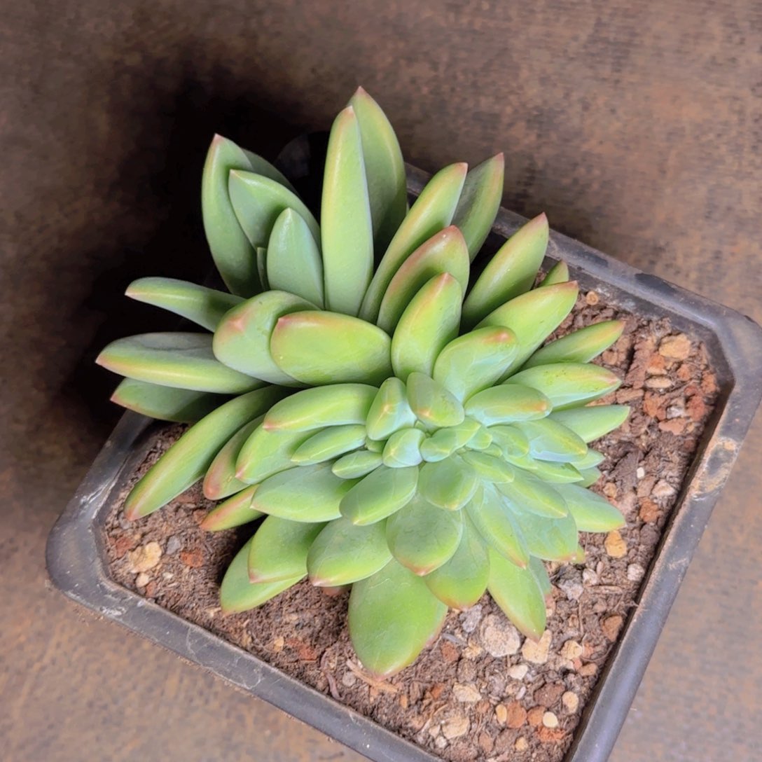 海洋缀福利11111111111111