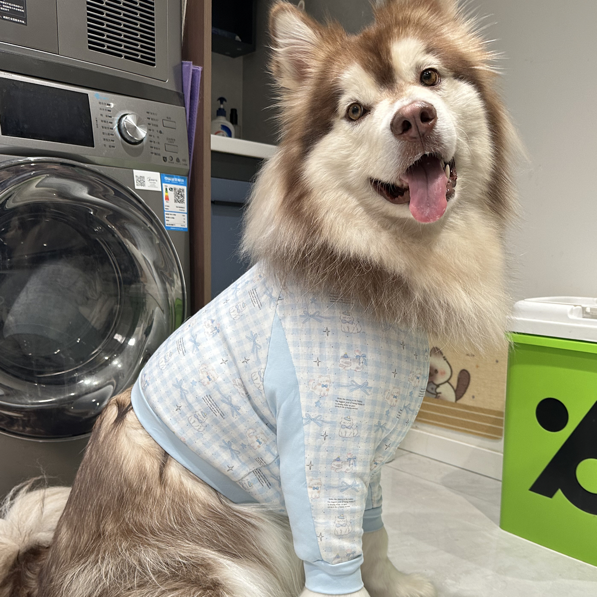 【短款护肘衣】宠物纯棉婴幼棉护肘加厚定制 No退No换（乱拍随便发）