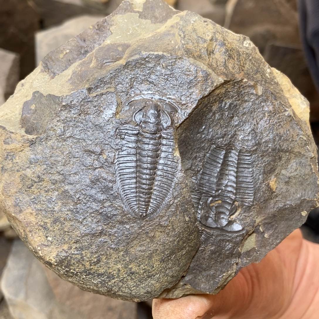 最***鬼石材11111111111111