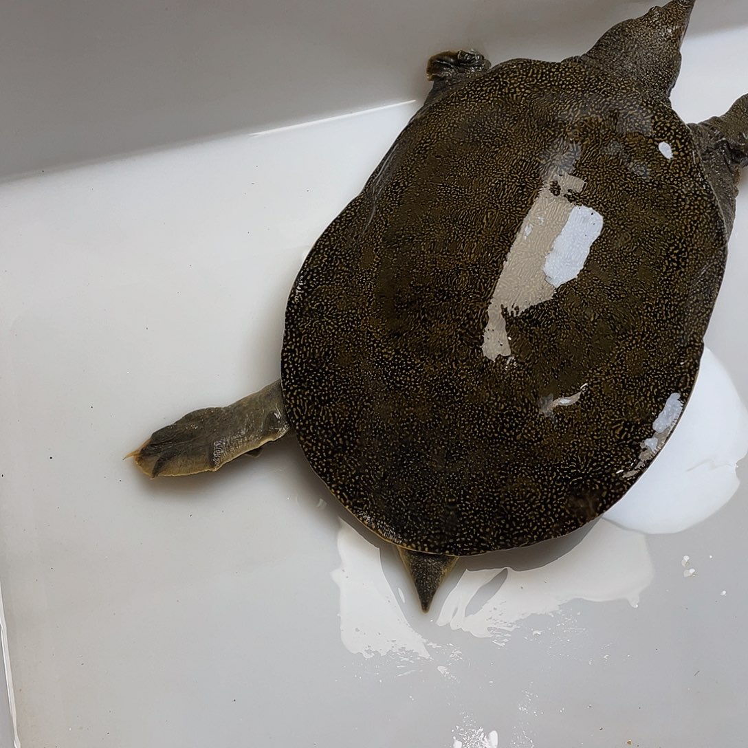 中国大陆12345678