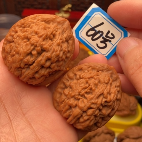文玩核桃吊坠蚂蚁王39