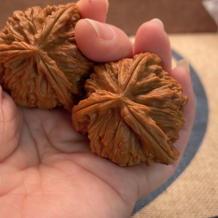 通***告核桃核桃白狮子42