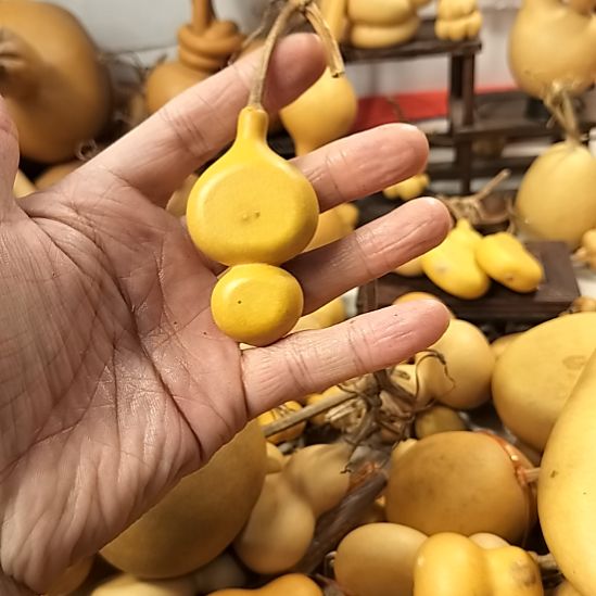 没***个直播间专供链接葫芦链接葫芦