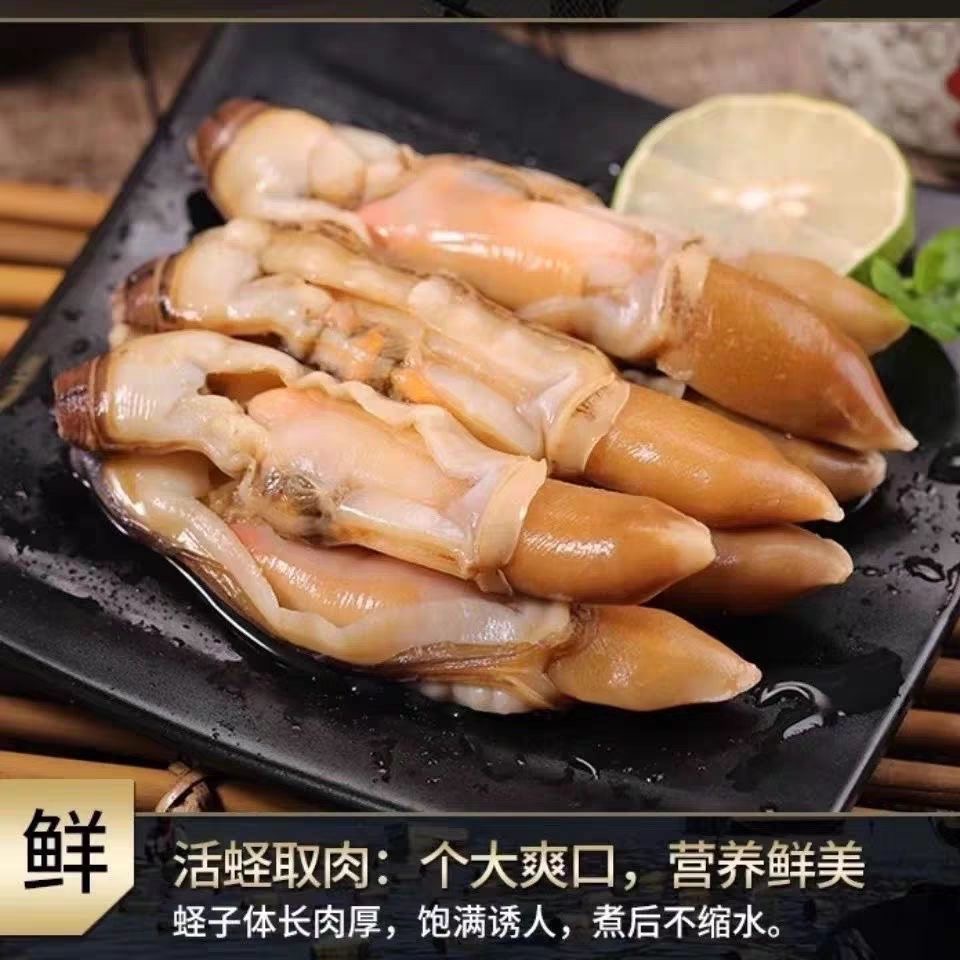 大个蛏王肉500g/包*4包  新鲜现剥  香辣爆炒火锅海鲜 【顺丰包邮】