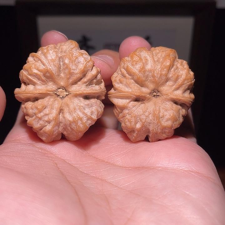 手串/手链核桃36×40  