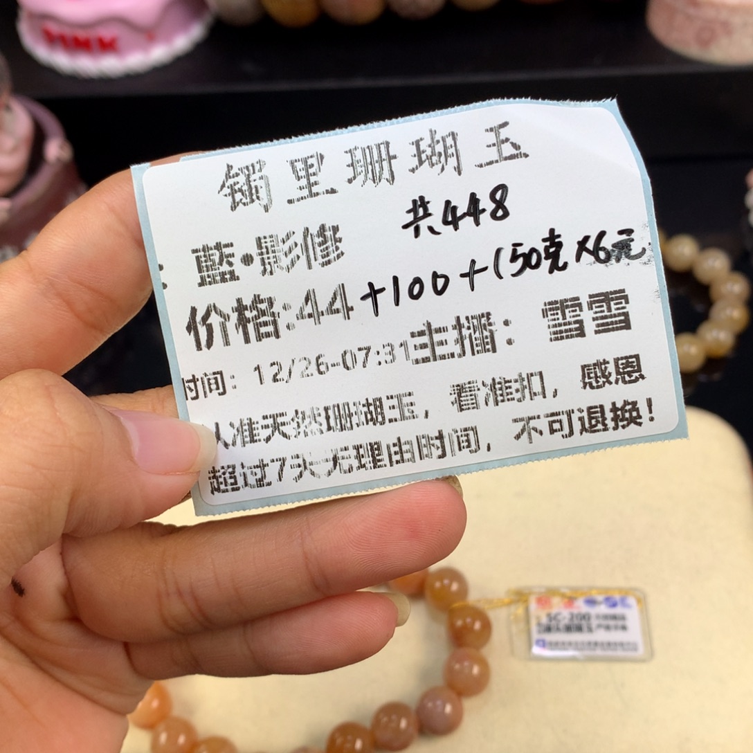 藍***修硅化珊瑚（珊瑚玉）未镶嵌颈饰