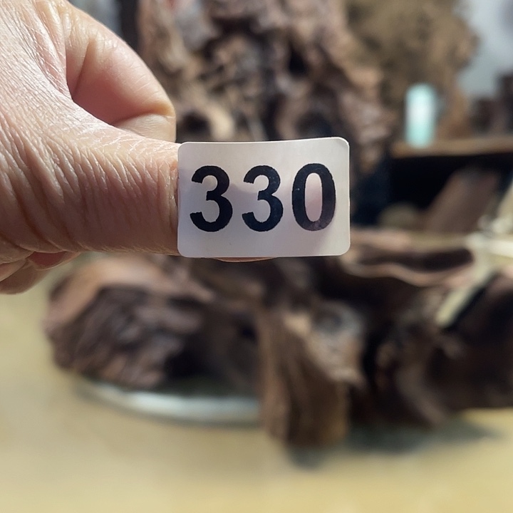 风车木（黑檀木）万**腾我在这里等你们