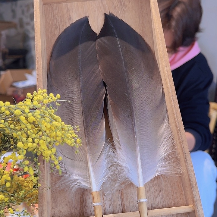 陶瓷杯陶瓷杯陶瓷杯