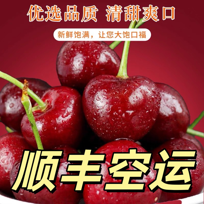 智利进口车厘子孕妇桑提娜新鲜水果樱桃内附果径卡XL1-250克空运