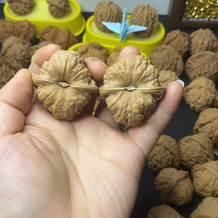 文玩核桃   南瓜墩