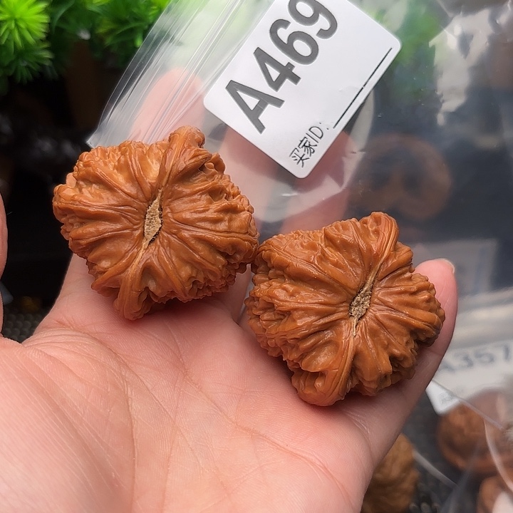 把件桃核核桃白狮子44