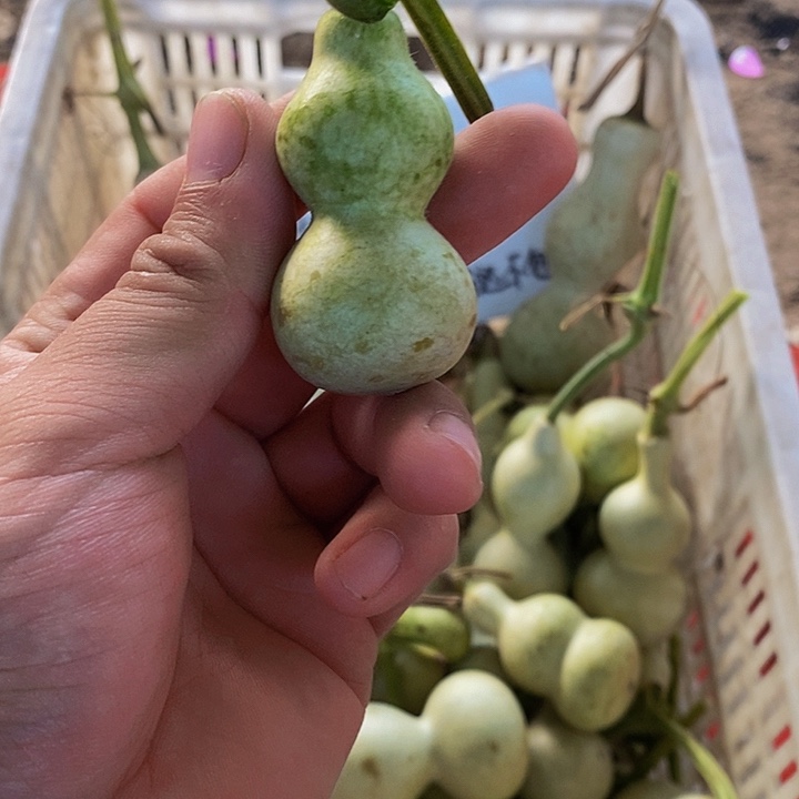 黑****?哈哈恍恍惚惚哈哈哈哈哈哈哈