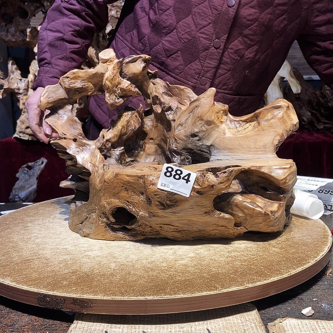 小***…884。株木随行根艺