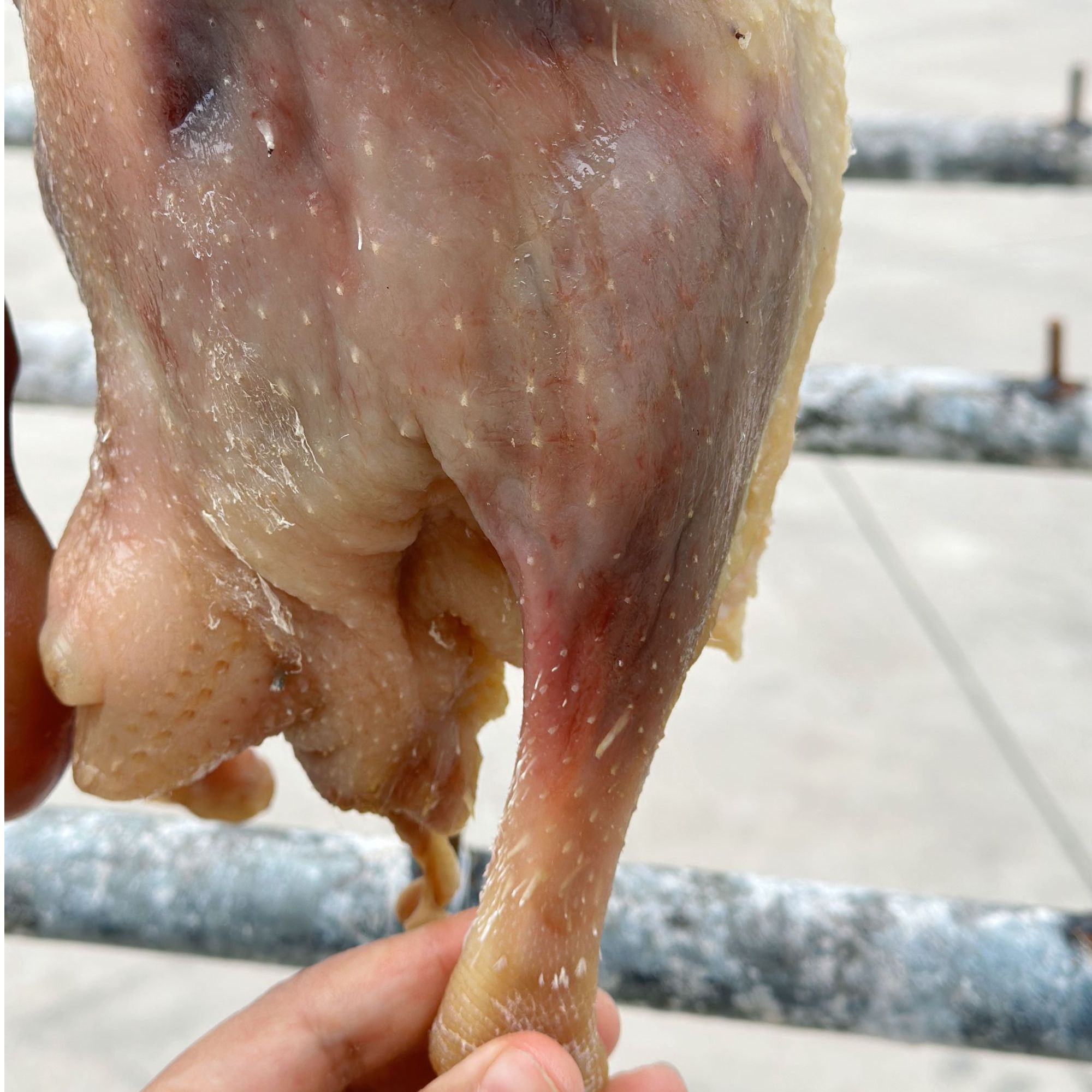 【蕾蕾专属】皖西大白鹅腊鹅切块附件  鹅头鹅脖鹅翅鹅大腿鹅块 