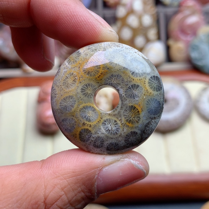 硅化珊瑚（珊瑚玉）颈饰未镶嵌