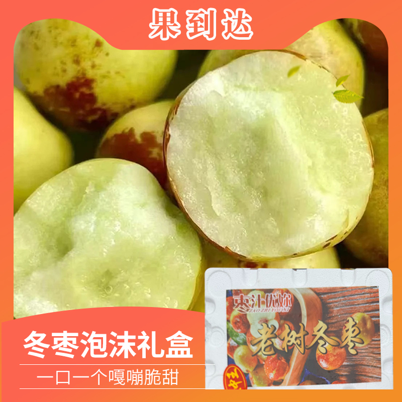 【坏果包赔】陕西大荔冬枣王中王净重2.8-3斤